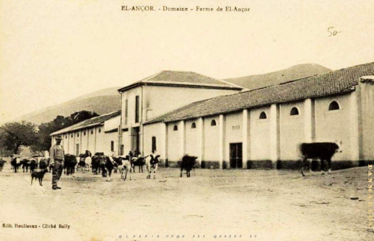 El ancor 05.jpg